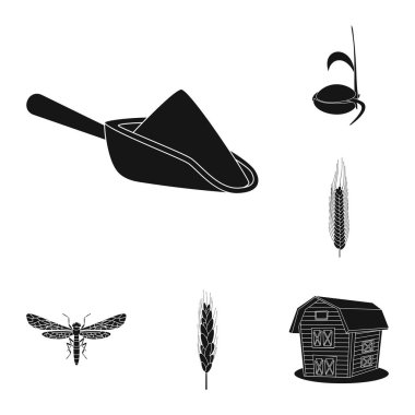 Çavdar ve bitki logo vektör tasarımı. Çavdar kümesi ve hisse senedi için Mısır vektör simgesi.