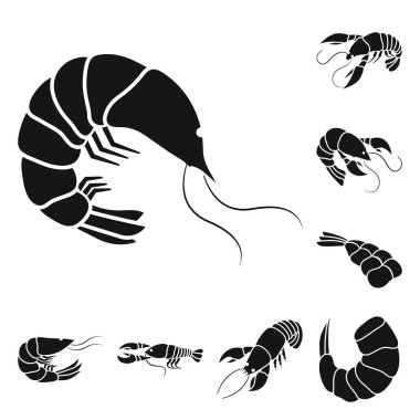 Et ve incelik simge vektör tasarımı. Et ayarla ve web için hisse senedi simgesi Yengeç.