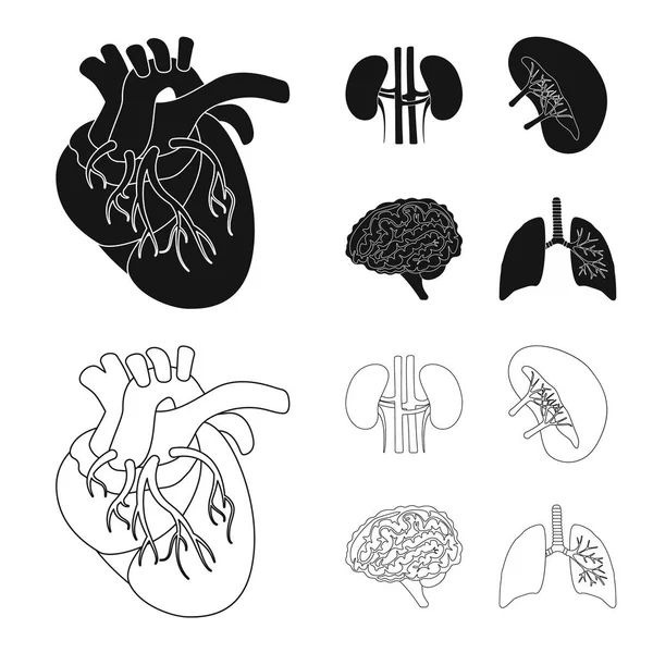 Conception vectorielle de la biologie et du logo scientifique. Ensemble d'illustration vectorielle de stock biologique et de laboratoire . — Image vectorielle