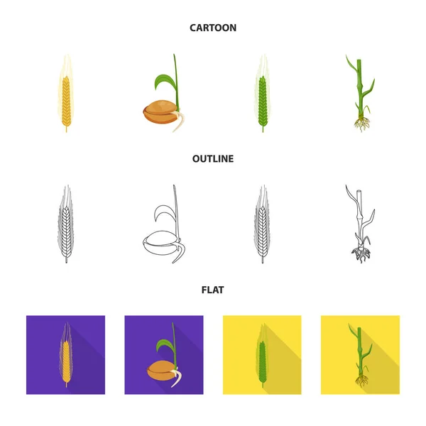Izolovaný objekt zemědělství a chov logo. Kolekce ze zemědělství a rostlin burzovní symbol pro web. — Stockový vektor