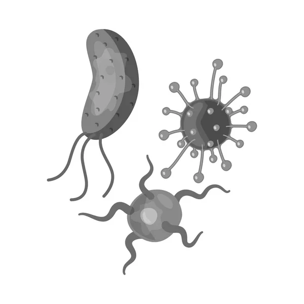 Vektorillustration von Bakterien und Viruszeichen. Sammlung von Bakterien und Laboraktiensymbol für das Web. — Stockvektor