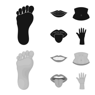 Vücut ve bölümü logosu yalıtılmış nesne. Web için vücut ve anatomi hisse senedi simgesi kümesi.