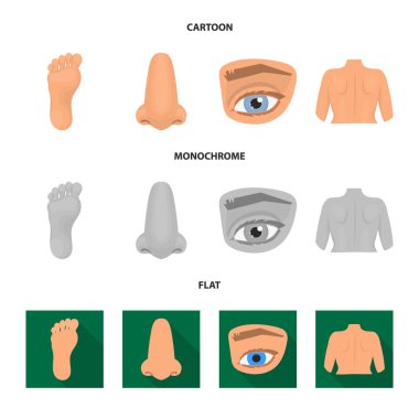 Vücut ve bölümü logo vektör Illustration. Web için vücut ve anatomi hisse senedi simgesi kümesi.