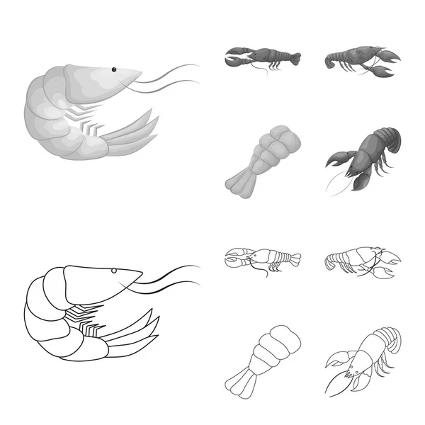 Vektorillustration Förrätt Och Ocean Symbol Samling Förrätt Och Delikatess Aktiesymbol — Stock vektor