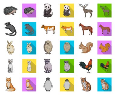 Gerçekçi hayvanlar karikatür, set koleksiyonu tasarım için düz simgeler. Yerli ve vahşi hayvanlar sembol stok web illüstrasyon vektör.