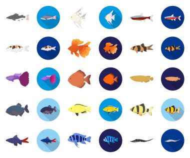 Balık karikatür farklı türleri, düz simgeler toplama tasarımı için ayarlayın. Deniz ve akvaryum balık sembol stok web illüstrasyon vektör.