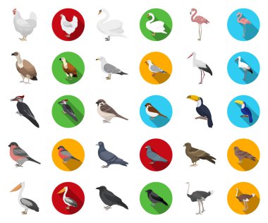 Kuş türleri karikatür, set koleksiyonu tasarım için düz simgeler. Ev ve vahşi kuş vektör simge stok web çizim.