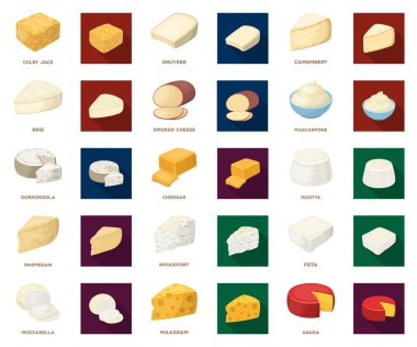 Peynir karikatür farklı tür, design.Milk ürün peynir için küme toplama düz simgeler simge stok web illüstrasyon vektör.