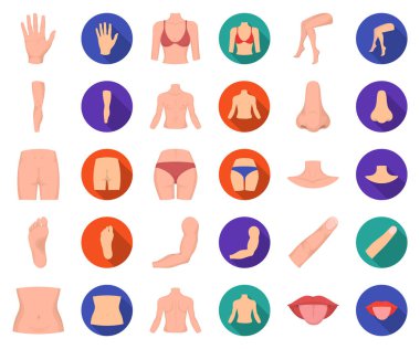 Vücut, bacak çizgi film, set koleksiyonu tasarım için düz simgeleri parçası. İnsan anatomisi vektör simge stok web çizimi.