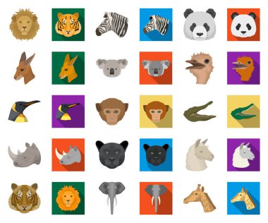 Vahşi hayvan karikatür, set koleksiyonu tasarım için düz simgeler. Mammal ve kuş sembol stok web illüstrasyon vektör.