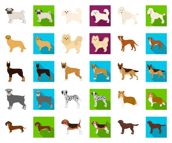 Dog breeds cartoon,flat icons in set collection for design.Dog pet vector symbol stock web illustration. — Stock Vector