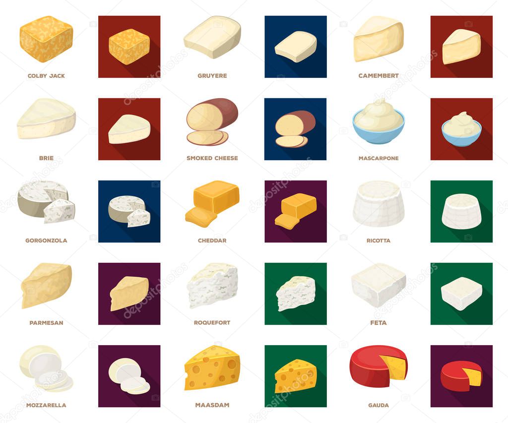 Different kind of cheese cartoon,flat icons in set collection for design.Milk product cheese vector symbol stock  illustration.