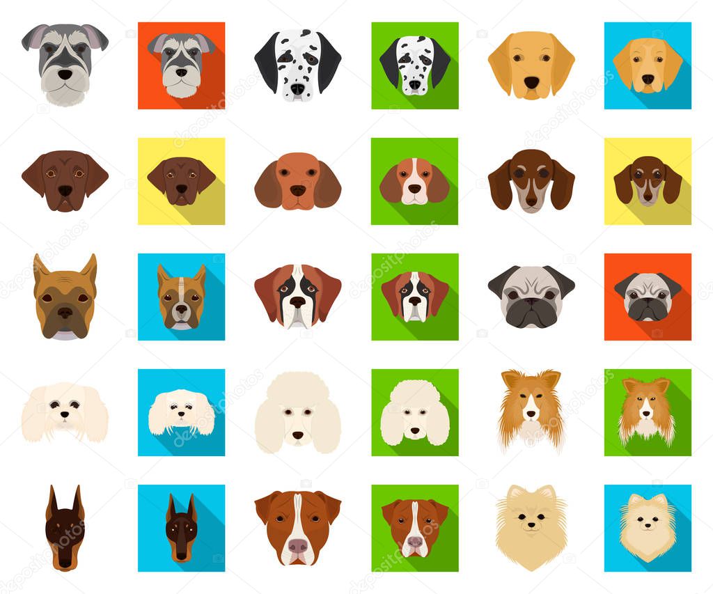 Dog breeds cartoon,flat icons in set collection for design.Muzzle of a dog vector symbol stock  illustration.