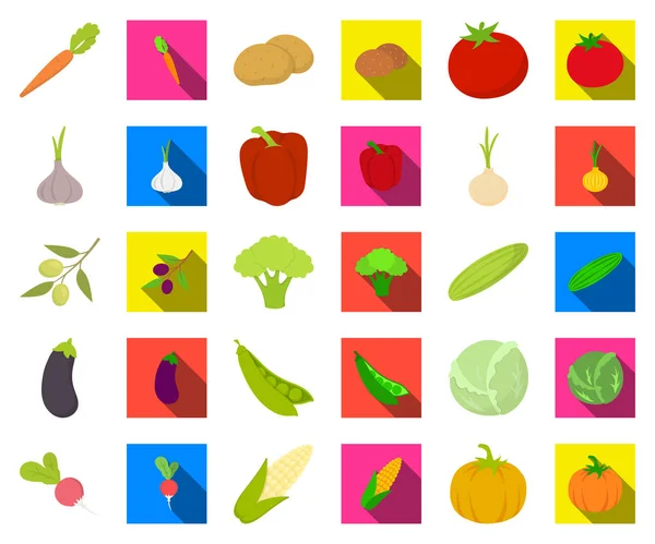 Diferentes tipos de vegetais desenhos animados, ícones planos na coleção de conjuntos para design. Vegetais e vitaminas símbolo vetorial web ilustração . — Vetor de Stock