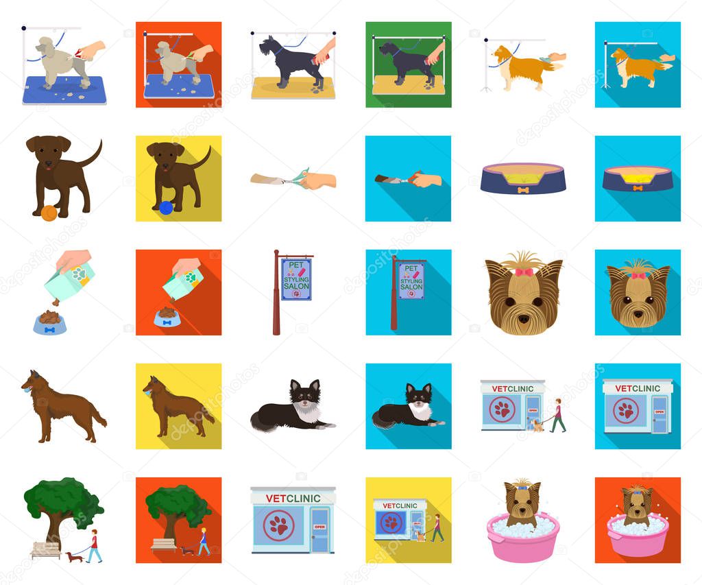 Pet cartoon,flat icons in set collection for design. Care and education vector symbol stock web illustration.