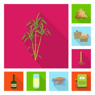 Bitki ve plantasyon logo vektör tasarımı. Web için bitki ve tarım hisse senedi simgesi kümesi.