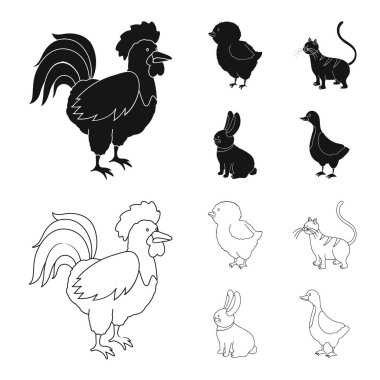 Üreme ve mutfak simge vektör tasarımı. Koleksiyon ıslahının ve web için organik hisse senedi simgesi.