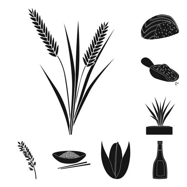 Ilustração vetorial de dieta e ícone de culinária. Coleção de dieta e símbolo de estoque orgânico de web . —  Vetores de Stock