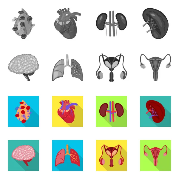 Geïsoleerde object van de biologie en wetenschappelijke pictogram. Set van biologie en laboratorium voorraad vectorillustratie. — Stockvector