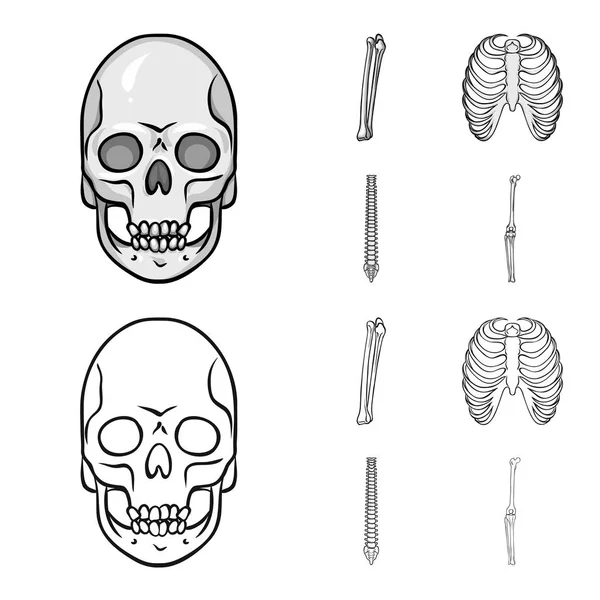 Objeto isolado da medicina e símbolo da clínica. Coleção de medicina e ilustração vetorial de estoque médico . —  Vetores de Stock