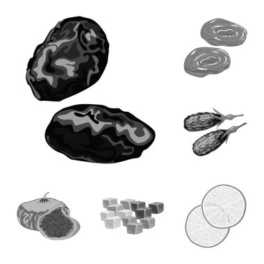 Vitamin ve doğa logo vektör Illustration. Vitamin ve web için kurutulmuş hisse senedi simgesi toplama.