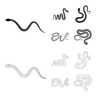 Memeli ve tehlike sembolü yalıtılmış nesne. Memeli ve tıp vektör simgesini hissenin topluluğu.