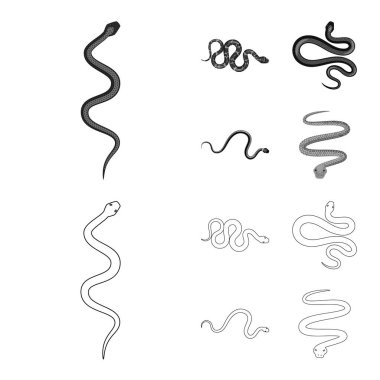 Memeli ve tehlike sembolü vektör Illustration. Memeli ve tıp vektör simgesini hissenin topluluğu.