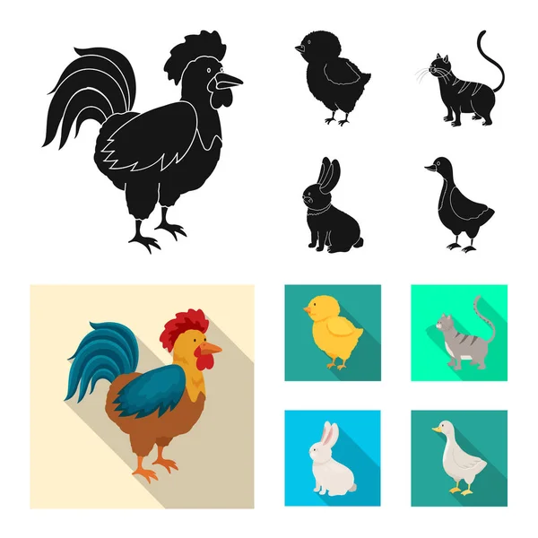 Illustration vectorielle de l'élevage et signe de cuisine. Collection de symboles d'élevage et de stock biologique pour la toile . — Image vectorielle