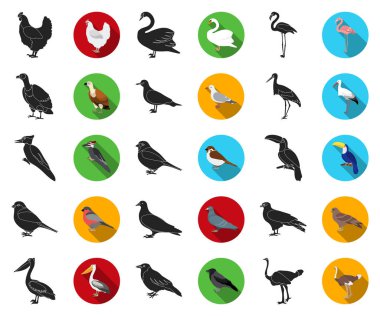Set koleksiyonu tasarım için kuşlar siyah, düz simgeler türleri. Ev ve vahşi kuş vektör simge stok web çizim.