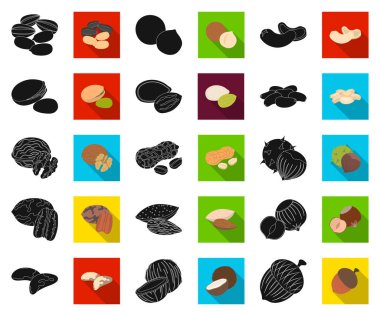 Set koleksiyonu tasarım için fındık siyah, düz simgeler farklı türde. Fındık gıda vektör simge stok web çizim.