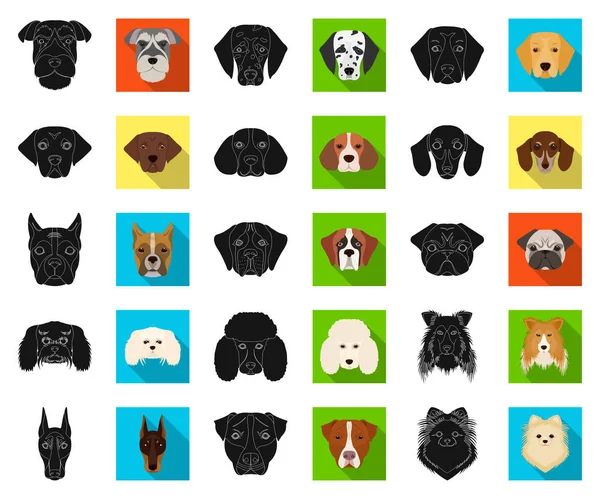 Perro razas negro, iconos planos en la colección de conjuntos para design.Muzzle de un perro vector símbolo stock web ilustración . — Vector de stock