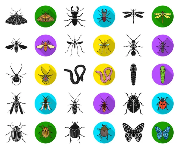 Diferentes tipos de insetos ícones pretos e planos na coleção de conjuntos para design. Inseto artrópode vetor símbolo web ilustração . — Vetor de Stock