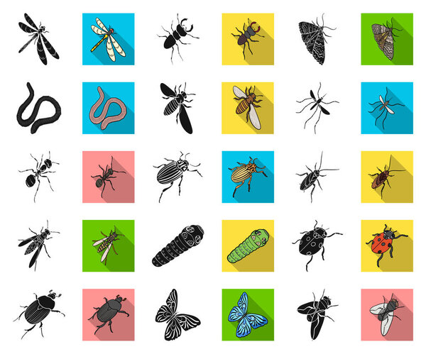 Different kinds of insects black,flat icons in set collection for design. Insect arthropod vector isometric symbol stock web illustration.