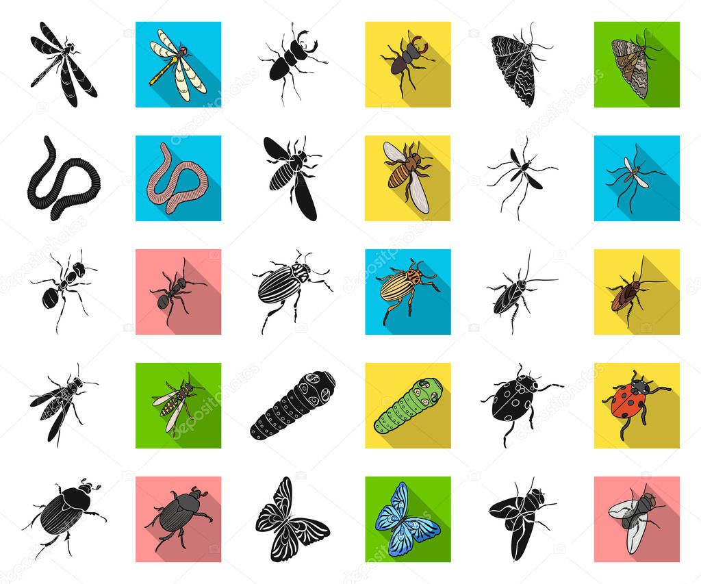 Different kinds of insects black,flat icons in set collection for design. Insect arthropod vector isometric symbol stock  illustration.