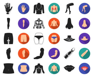Gövde, kol siyah, düz simgeler set koleksiyonu tasarım için bölümü. İnsan anatomisi vektör simge stok web çizimi.