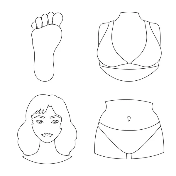 Ilustración vectorial del cuerpo y del signo parcial. Conjunto de cuerpo y anatomía símbolo de stock para web . — Vector de stock