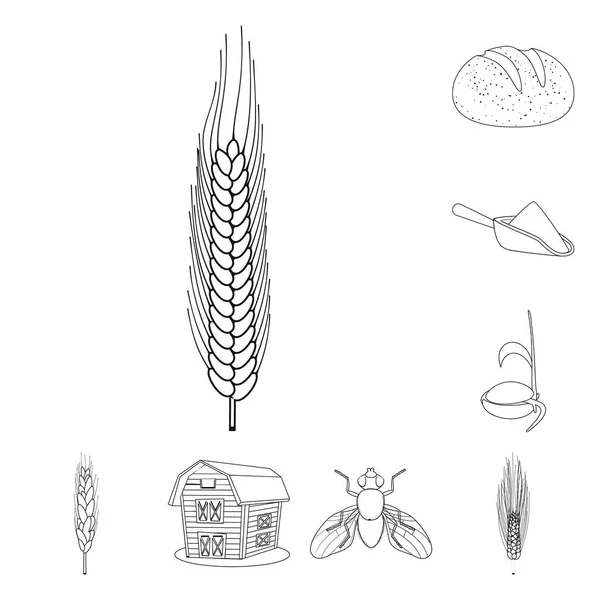 Diseño vectorial del icono de la agricultura y la agricultura. Conjunto de ilustración de vectores agrícolas y vegetales . — Archivo Imágenes Vectoriales