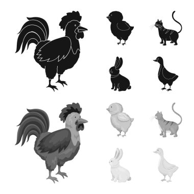 Üreme ve mutfak işareti çizimi vektör. Koleksiyon ıslahının ve organik vektör hisse senedi simgesi.