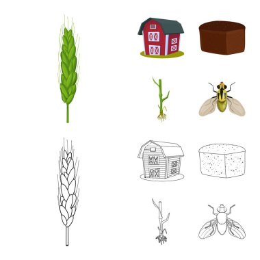 Tarım ve tarım logo vektör Illustration. Hisse senedi için Tarım ve bitki vektör simge kümesi.