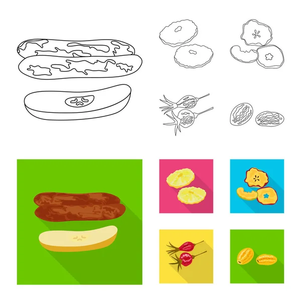 Conception vectorielle des aliments et des signes crus. Collecte des aliments et de la nature illustration vectorielle . — Image vectorielle
