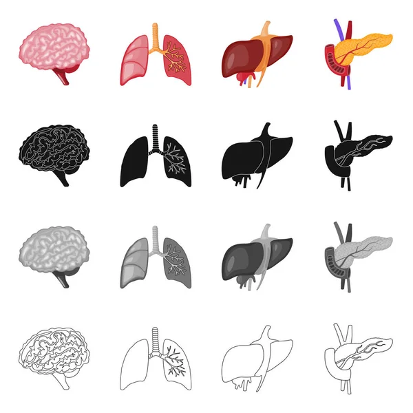 生物和科学标志的矢量设计。生物和实验室股票向量例证的汇集. — 图库矢量图片