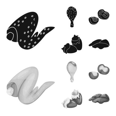 Ürün ve kümes hayvanları simge vektör tasarımı. Ürün ve tarım hisse senedi vektör çizim topluluğu.