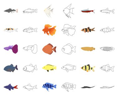 Farklı türde balık karikatür, set koleksiyonu tasarım için anahat simgeleri. Deniz ve akvaryum balık sembol stok web illüstrasyon vektör.