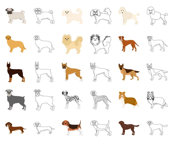 Perro razas de dibujos animados, iconos de contorno en la colección de conjuntos para design.Dog mascota vector símbolo stock web ilustración . — Vector de stock