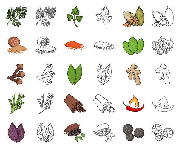 Desenhos animados de ervas e especiarias, ícones de contorno na coleção de conjuntos para design.Different tipos de seasonings símbolo vetorial ilustração web . — Vetor de Stock