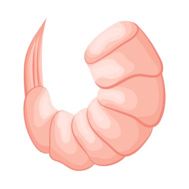 Karides ve yaratık simgesi yalıtılmış nesne. Karides ve taze stok vektör çizim.