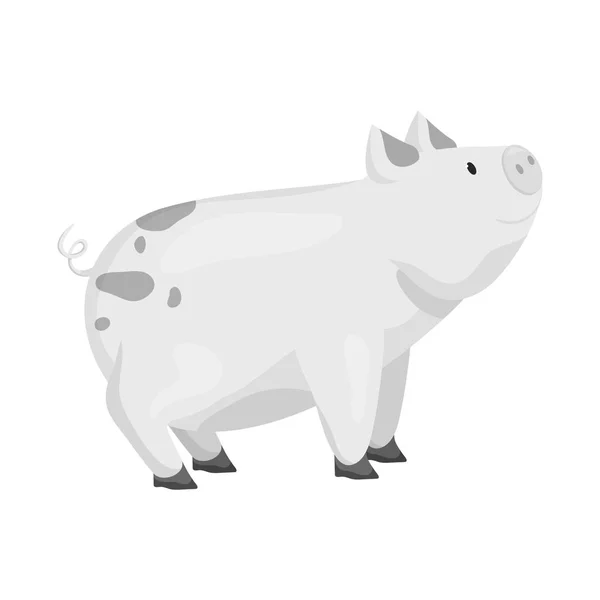 Vektorillustration von Schwein und Tier-Symbol. Sammlung von Vektorillustrationen für Schweine und Fleisch. — Stockvektor