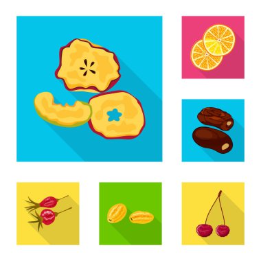 Meyve ve kurutulmuş işareti vektör tasarımı. Meyve kümesi ve hisse senedi için gıda vektör simgesi.