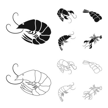 Meze ve okyanus simge vektör Illustration. Web için meze ve incelik hisse senedi simgesi kümesi.