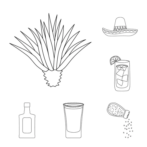 Vektor design av Mexiko och tequila ikonen. Samling av Mexiko och fiesta vektor ikonen för lager. — Stock vektor